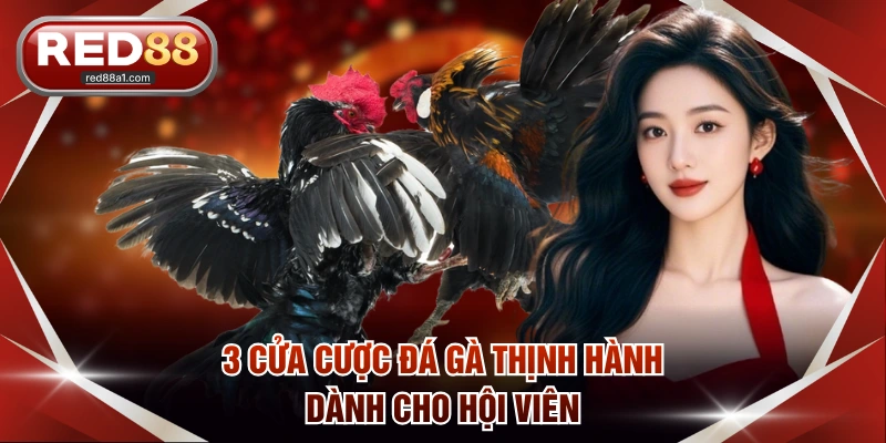3 cửa cược đá gà thịnh hành dành cho hội viên