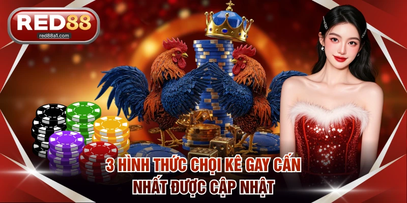 3 hình thức chọi kê gay cấn nhất được cập nhật