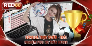 Bóng đá trực tuyến