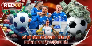 Cá độ bóng đá