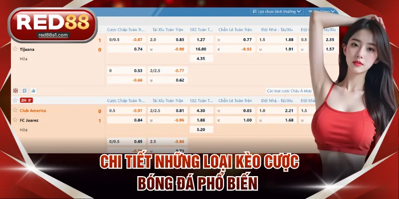 Chi tiết những loại kèo cược bóng đá phổ biến