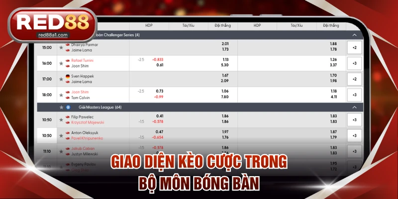 Giao diện kèo cược trong bộ môn bóng bàn