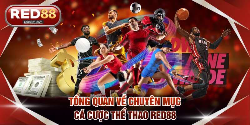 Tổng quan về chuyên mục cá cược thể thao RED88