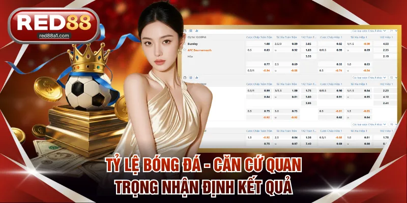 Tỷ lệ bóng đá - Căn cứ quan trọng nhận định kết quả